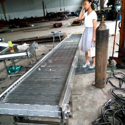 倍速鏈輸送線(xiàn)報(bào)價(jià) 廠(chǎng)家